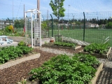 metns-summer-flowers-and-fun-may-2012-020