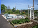 metns-summer-flowers-and-fun-may-2012-021