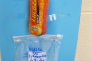 metnd-maths-week-oct-2013-004