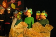metns-school-show-april-2013-016
