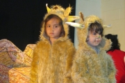 metns-school-show-april-2013-020