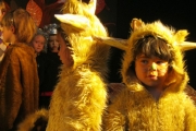 metns-school-show-april-2013-021