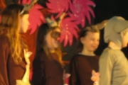 metns-school-show-april-2013-031