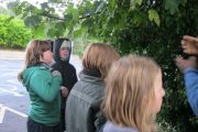 nature-moves-project-5th-class-oct-2013-006