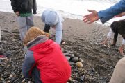 nature-moves-project-5th-class-oct-2013-014