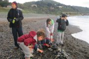 nature-moves-project-5th-class-oct-2013-020