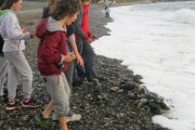 nature-moves-project-5th-class-oct-2013-021