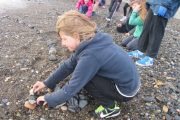 nature-moves-project-5th-class-oct-2013-022