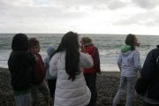 nature-moves-project-5th-class-oct-2013-023
