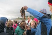 nature-moves-project-5th-class-oct-2013-025
