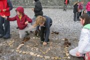 nature-moves-project-5th-class-oct-2013-026