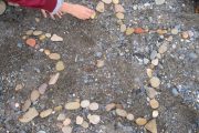 nature-moves-project-5th-class-oct-2013-027
