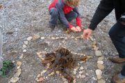 nature-moves-project-5th-class-oct-2013-028