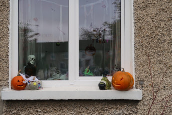 Creative and spooky skulls vs pumpkins